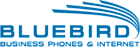 Bluebird Broadband Services