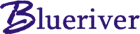 Blueriver Networking Services